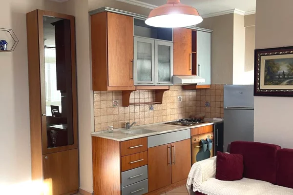 Shtepi me qera Apartament ne Tirane, 1+1, Mobilimi E mobiluar, Pagesa 600  Euro.