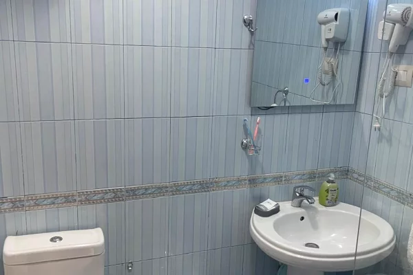 Shtepi me qera Apartament ne Tirane, 1+1, Mobilimi E mobiluar, Pagesa 600  Euro.