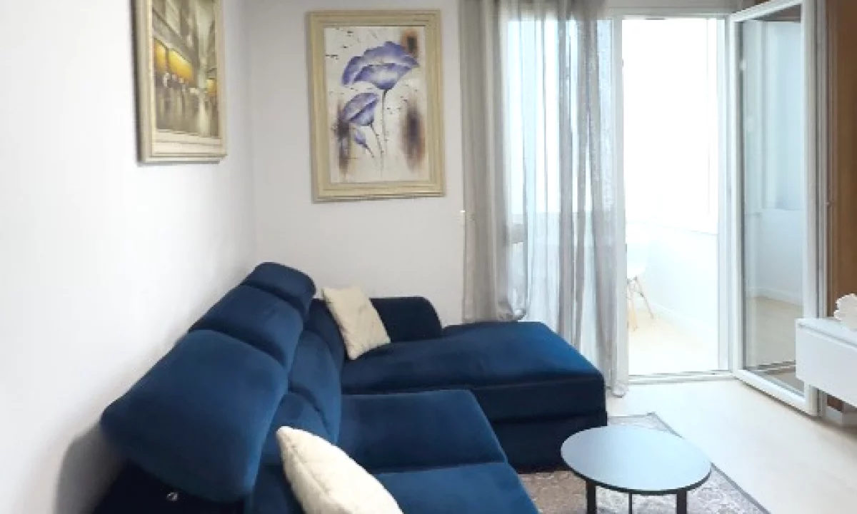 Shtepi me qera Apartament ne Tirane, 1+1, Mobilimi E mobiluar, Pagesa 500  Euro.