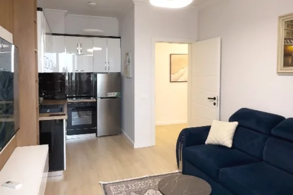 Shtepi me qera Apartament ne Tirane, 1+1, Mobilimi E mobiluar, Pagesa 500  Euro.