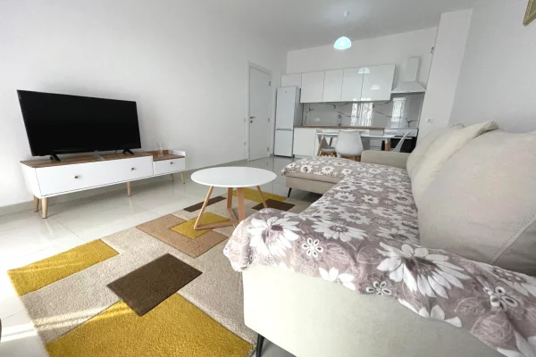Shtepi me qera Apartament ne Tirane, 1+1, Mobilimi E mobiluar, Pagesa 500  Euro.