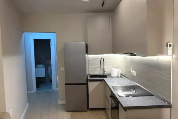 Shtepi me qera Apartament ne Tirane, 1+1, Mobilimi E mobiluar, Pagesa 500  Euro.