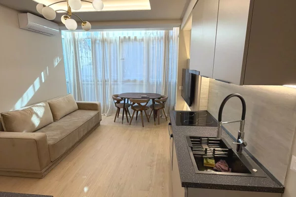 Shtepi me qera Apartament ne Tirane, 1+1, Mobilimi E mobiluar, Pagesa 600  Euro.