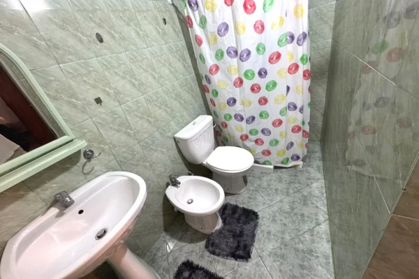 Shtepi me qera Apartament ne Tirane, 1+1, Mobilimi E mobiluar, Pagesa 300  Euro.