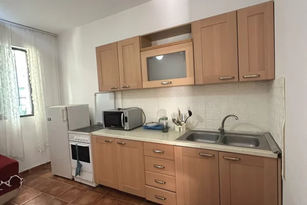 House for Rent Apartment in Tirana, 1+1, Furniture Furnished, Payment 450  Euro.