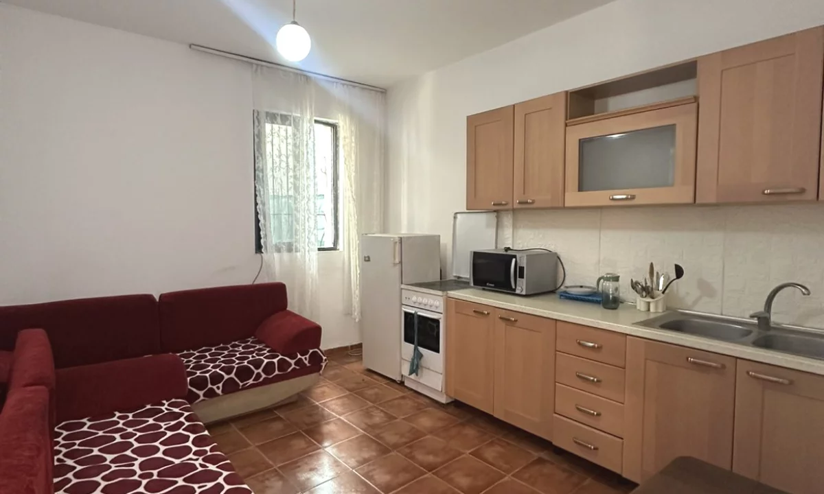 House for Rent Apartment in Tirana, 1+1, Furniture Furnished, Payment 450  Euro.