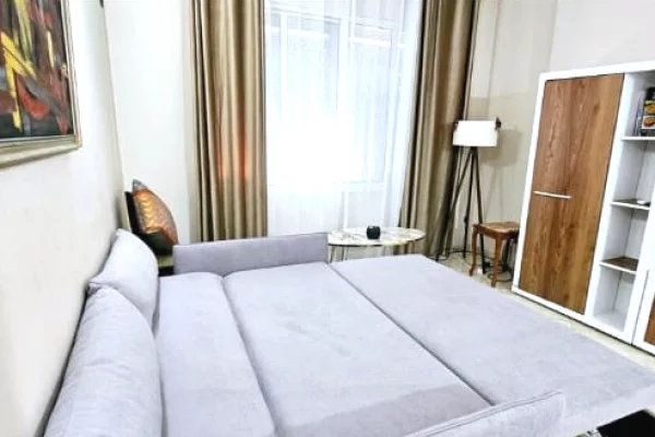 Shtepi me qera Apartament ne Tirane, 1+1, Mobilimi E mobiluar, Pagesa 600  Euro.