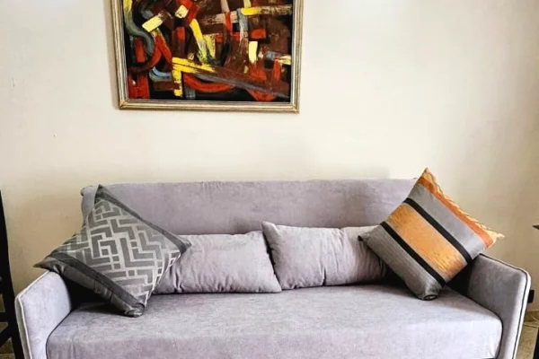 Shtepi me qera Apartament ne Tirane, 1+1, Mobilimi E mobiluar, Pagesa 600  Euro.