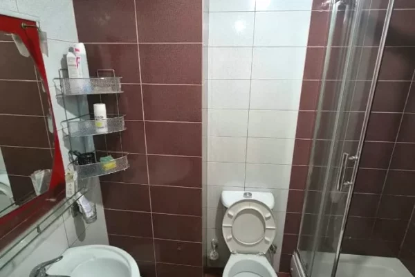Shtepi me qera Apartament ne Tirane, 1+1, Mobilimi E mobiluar, Pagesa 500  Euro.