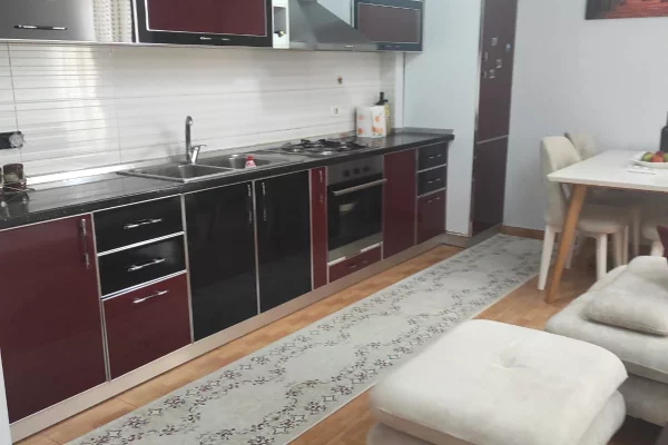 Shtepi me qera Apartament ne Tirane, 1+1, Mobilimi E mobiluar, Pagesa 400  Euro.