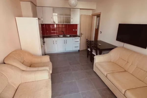 Shtepi me qera Apartament ne Tirane, 1+1, Mobilimi E mobiluar, Pagesa 450  Euro.