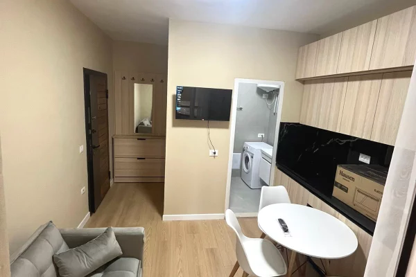 House for Rent Apartment in Tirana, 1+1, Furniture Furnished, Payment 580  Euro.