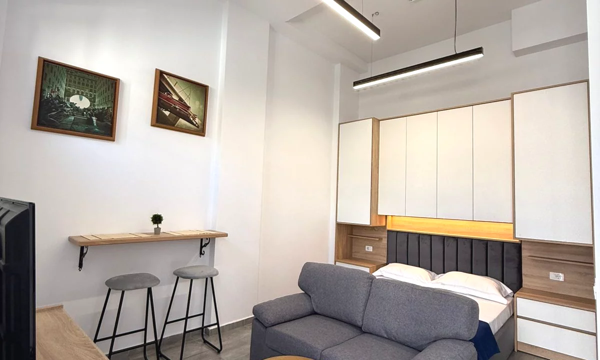 House for Rent Apartment in Tirana, Garsoniere, Furniture Furnished, Payment 400  Euro.