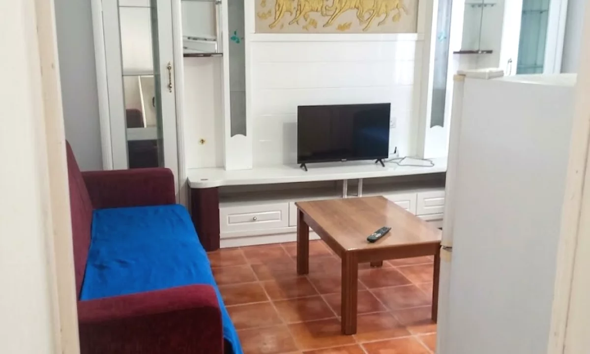 House for Rent Apartment in Tirana, 1+1, Furniture Furnished, Payment 450  Euro.