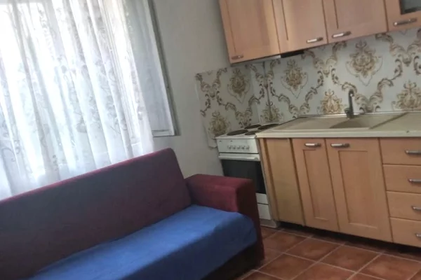 House for Rent Apartment in Tirana, 1+1, Furniture Furnished, Payment 450  Euro.