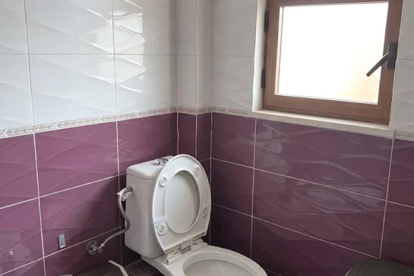 House for Rent Apartment in Tirana, 1+1, Furniture Furnished, Payment 320  Euro.