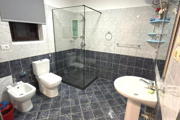 Shtepi me qera Apartament ne Tirane, 1+1, Mobilimi E mobiluar, Pagesa 500  Euro.