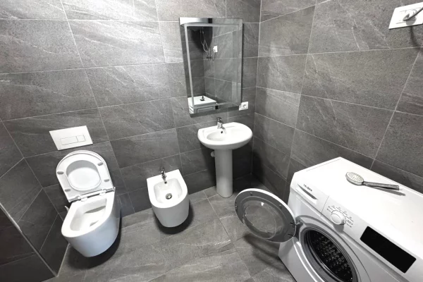 Shtepi me qera Apartament ne Tirane, 1+1, Mobilimi E mobiluar, Pagesa 450  Euro.
