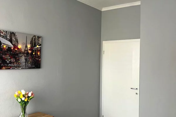Shtepi me qera Apartament ne Tirane, 1+1, Mobilimi E mobiluar, Pagesa 500  Euro.