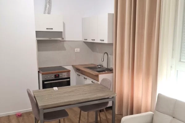 Shtepi me qera Apartament ne Tirane, 1+1, Mobilimi E mobiluar, Pagesa 450  Euro.