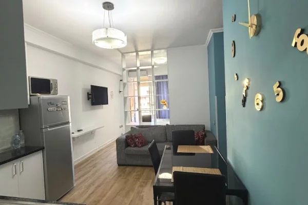 Shtepi me qera Apartament ne Tirane, Garsoniere, Mobilimi E mobiluar, Pagesa 380  Euro.