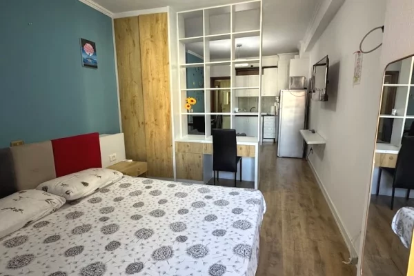Shtepi me qera Apartament ne Tirane, Garsoniere, Mobilimi E mobiluar, Pagesa 380  Euro.