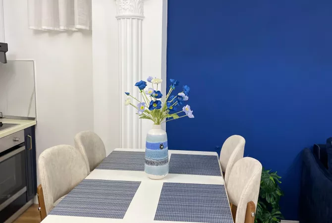 Appartamento in affitto a Tirana 1+1, Arredato