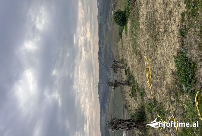 Truall ose Toke ne Durres - 280,000 Euro