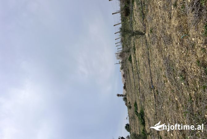 Truall ose Toke ne Durres - 280,000 Euro