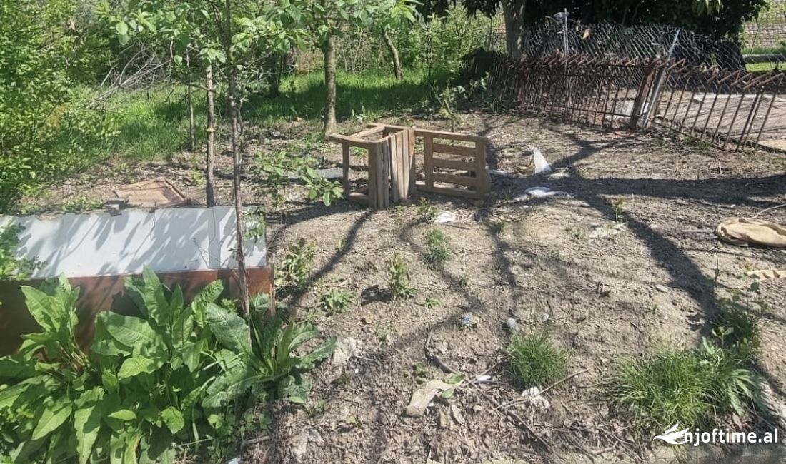 Vjen nga Happy Home:  SHITET DHE JEPET ME QIRA 🏞️ TRUALL PRANE MEGA TEK – BUZE RRUGE 🚧 