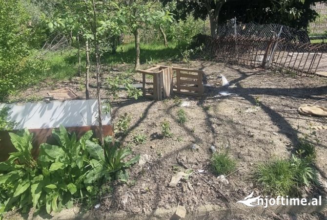 Truall ose Toke ne Tirane - 367,000 Euro