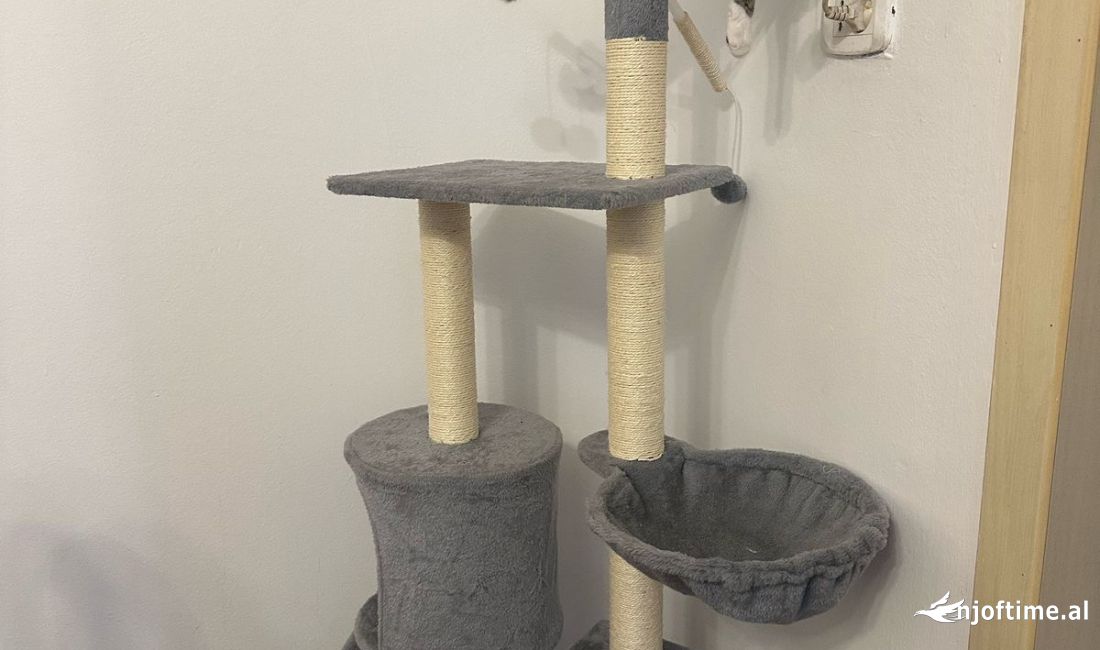 Shitet loje e shtepi per macet.