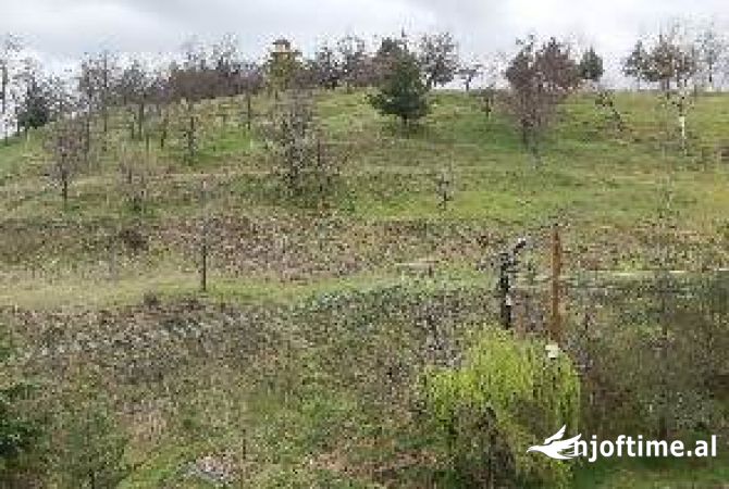 Villa di lusso in vendita a Koriza 4+1, Vuoto