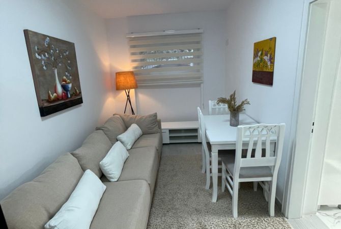 Shtepi me qera Shtepi Private ne Tirane, 1+1, Mobilimi E mobiluar, Pagesa 400  Euro.