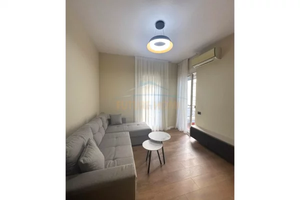 Shtepi ne shitje Apartament ne Tirane, 1+1, Mobilimi E mobiluar, Pagesa 149,000  Euro.