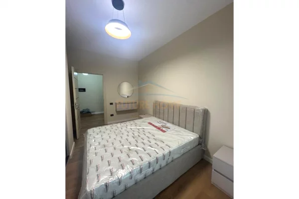 Shtepi ne shitje Apartament ne Tirane, 1+1, Mobilimi E mobiluar, Pagesa 149,000  Euro.