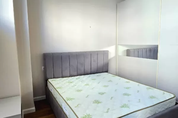 Shtepi me qera Apartament ne Tirane, 1+1, Mobilimi E mobiluar, Pagesa 60,000  Leke.