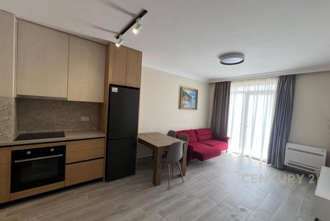 Shtepi me qera Apartament ne Tirane, 1+1, Mobilimi E mobiluar, Pagesa 450  Euro.