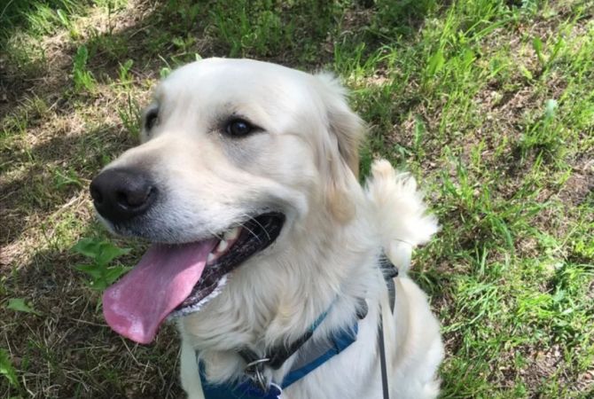 Sherbime Profesionale ne Tirane - 1,000 Leke