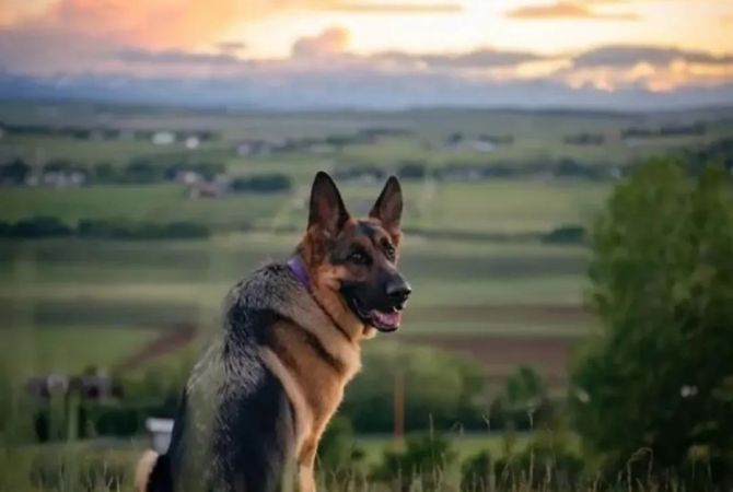 Sherbime Profesionale ne Tirane - 1,000 Leke