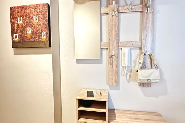Shtepi me qera Apartament ne Tirane, 1+1, Mobilimi E mobiluar, Pagesa 50,000  Leke.