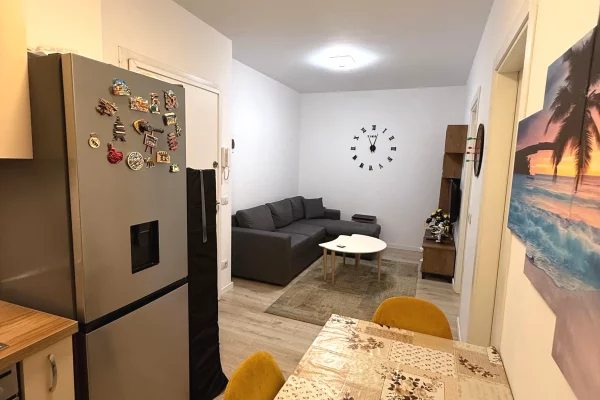 Shtepi ne shitje Apartament ne Tirane, 1+1, Mobilimi E mobiluar, Pagesa 83,000  Euro.