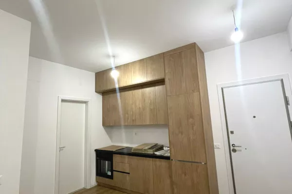Shtepi me qera Apartament ne Tirane, 1+1, Mobilimi Bosh, pa mobiluar, Pagesa 35,000  Leke.