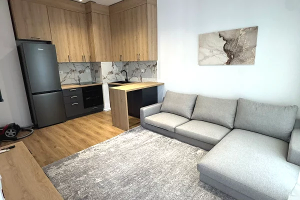 Shtepi me qera Apartament ne Tirane, 1+1, Mobilimi E mobiluar, Pagesa 450  Euro.