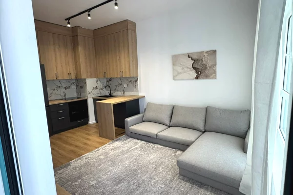Shtepi me qera Apartament ne Tirane, 1+1, Mobilimi E mobiluar, Pagesa 450  Euro.