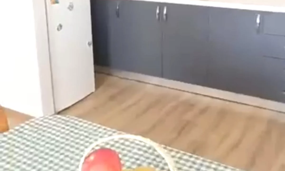 Shtepi me qera Apartament ne Tirane, 2+1, Mobilimi E mobiluar, Pagesa 700  Euro.