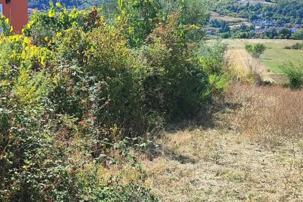 Land for Sale in Tirana - 260,000 Euro