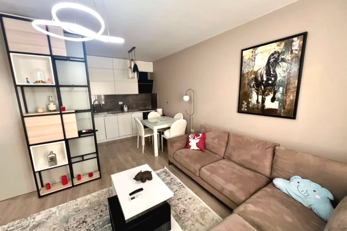Shtepi me qera Apartament ne Tirane, 1+1, Mobilimi E mobiluar, Pagesa 550  Euro.