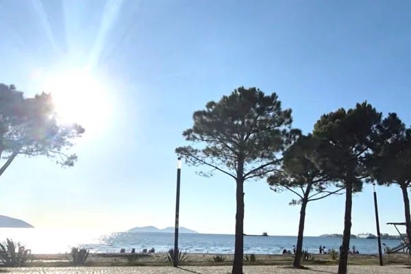 Ambient biznesi ne shitje 1+1 ne Vlore - 912,000 Euro