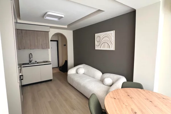 Jepet apartament 1+1 me qira tek Sheshi Willson .